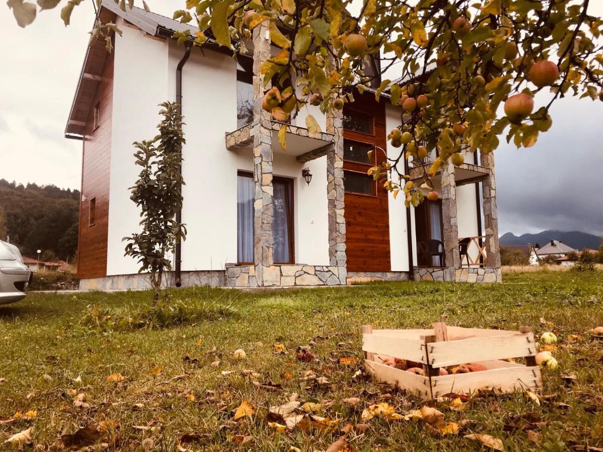 Vila Montenegrina Kolašin Kültér fotó