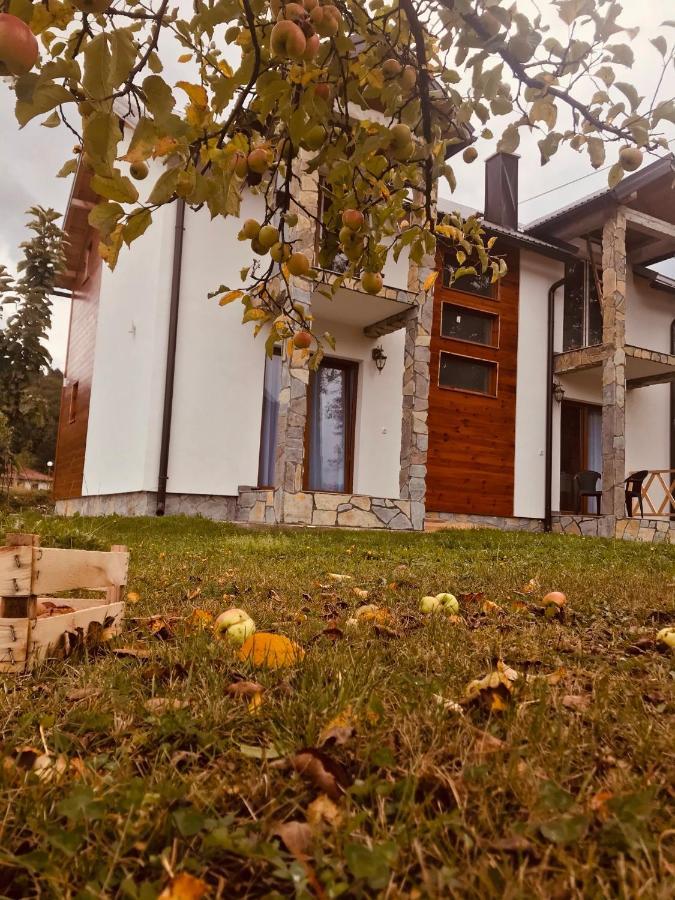 Vila Montenegrina Kolašin Kültér fotó
